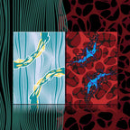 Woh-LfDcV3-5bd49639-7ed4-4437-8cc1-fa32109be6c0