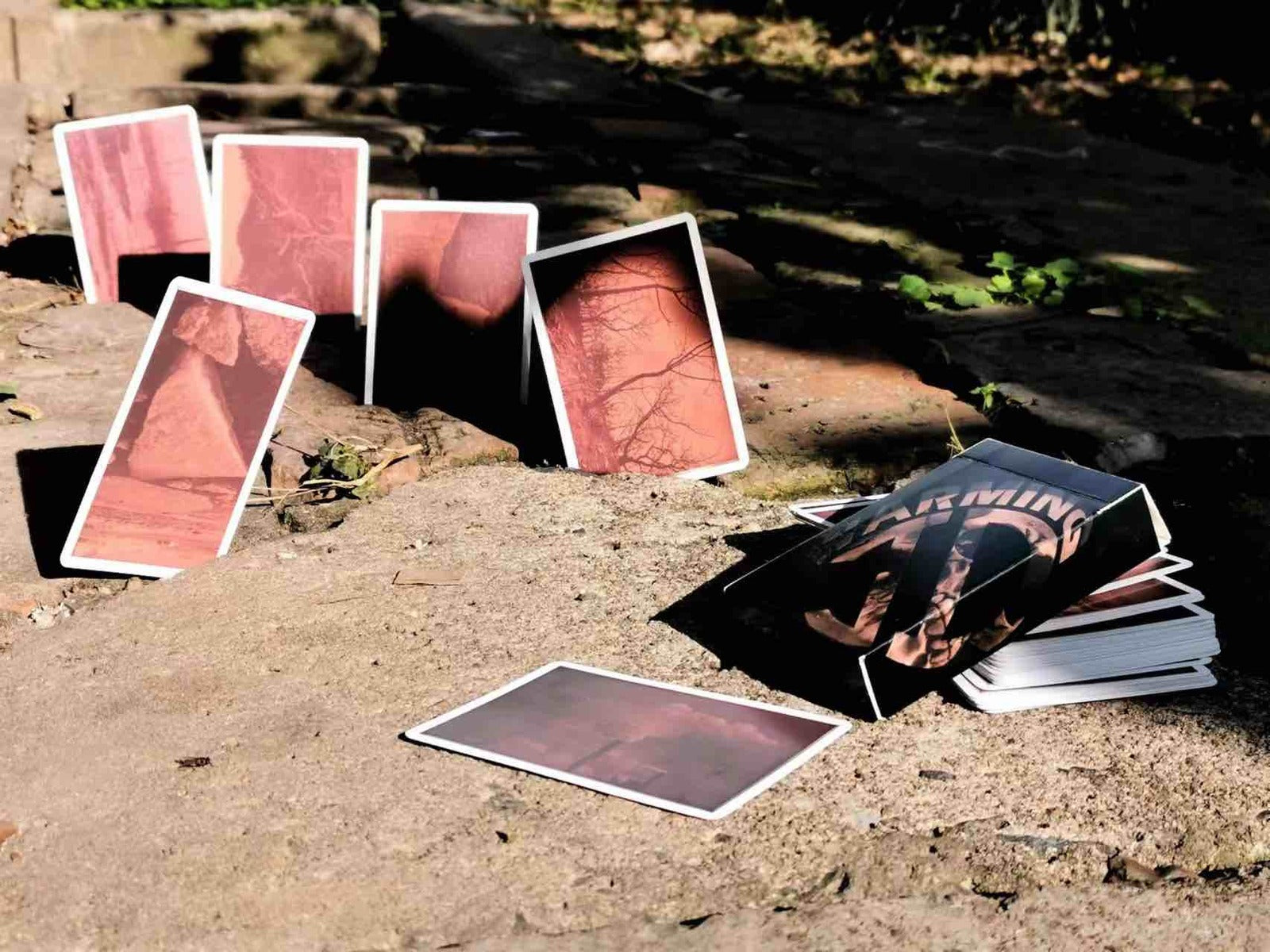 Jiade-Light-WechatIMG68