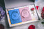 Story of Rose collector's box opened with blue and pink decks and rose accessory