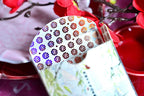 The Splendor of the Four Seasons playing cards artwork detail